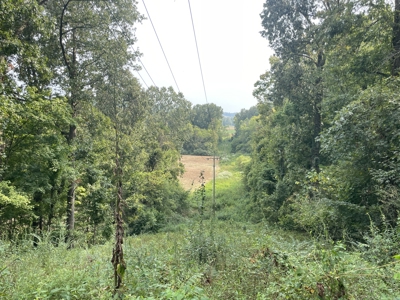 40 +/- Acre Butler County Ky. Riverfront Property in 5 Tracts - image 24