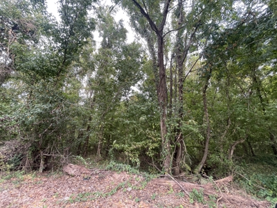 40 +/- Acre Butler County Ky. Riverfront Property in 5 Tracts - image 25