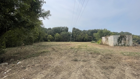 40 +/- Acre Butler County Ky. Riverfront Property in 5 Tracts - image 19
