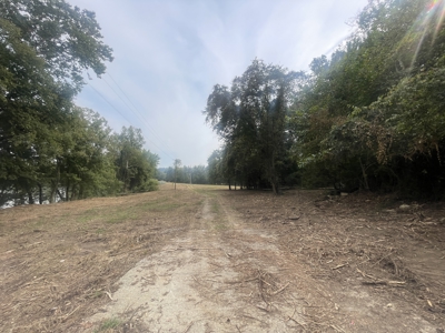 40 +/- Acre Butler County Ky. Riverfront Property in 5 Tracts - image 2