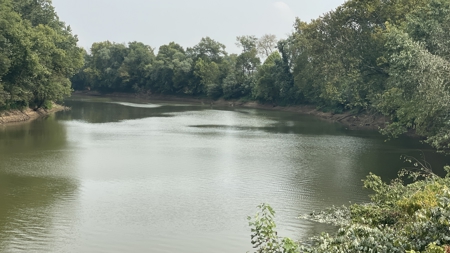 40 +/- Acre Butler County Ky. Riverfront Property in 5 Tracts - image 11