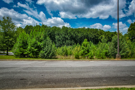 Commercial Lot For Sale in Gastonia NC - image 12