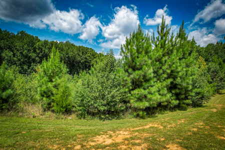 Commercial Lot For Sale in Gastonia NC - image 11