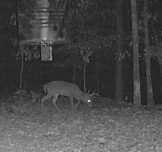 5 Bedroom 3 Bath Mountain Home For Sale Near Jay, Ok & Lake Eucha - image 43