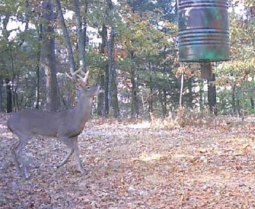 5 Bedroom 3 Bath Mountain Home For Sale Near Jay, Ok & Lake Eucha - image 44