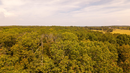 Prime Hunting Land Located in the Missouri Ozarks - image 19