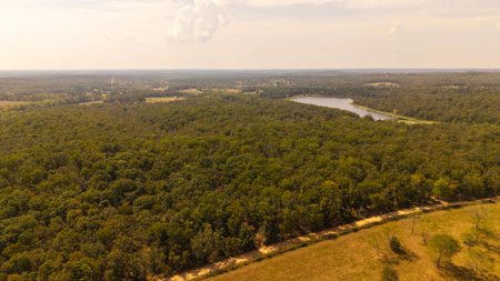 Prime Hunting Land Located in the Missouri Ozarks - image 3