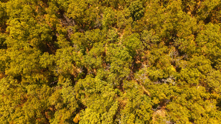 Prime Hunting Land Located in the Missouri Ozarks - image 16