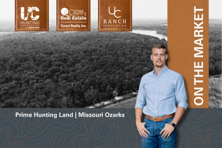 Prime Hunting Land Located in the Missouri Ozarks - image 2