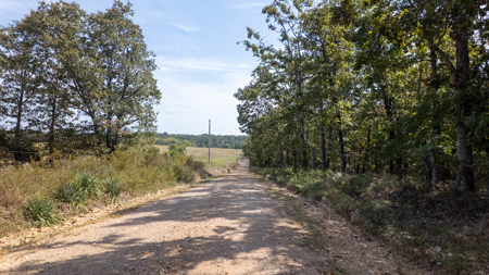 Prime Hunting Land Located in the Missouri Ozarks - image 13