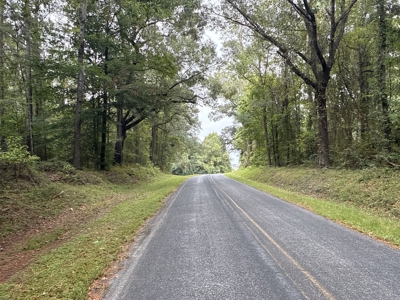 15 Acres Timber & Hunting Land in Aurora, NC - image 5