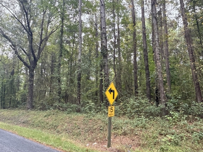15 Acres Timber & Hunting Land in Aurora, NC - image 4
