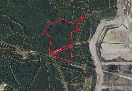 15 Acres Timber & Hunting Land in Aurora, NC - image 1