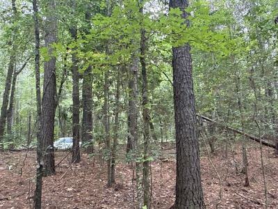 15 Acres Timber & Hunting Land in Aurora, NC - image 9