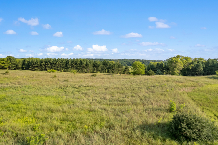 Marquette County Farm and 10+/- Acres Live & Online Auction - image 3