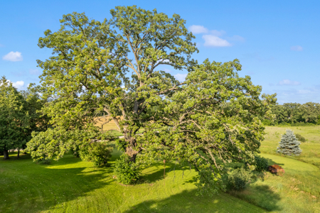 Marquette County Farm and 10+/- Acres Live & Online Auction - image 9