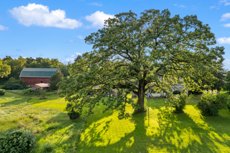 Marquette County Farm and 10+/- Acres Live & Online Auction - image 7