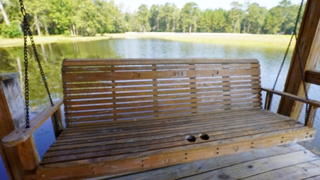 52.5 Acres of Recreational Land for Sale in Jones County MS - image 14