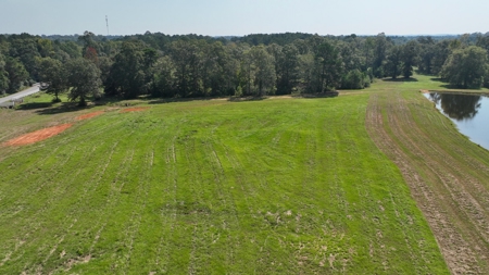 52.5 Acres of Recreational Land for Sale in Jones County MS - image 4
