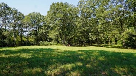 52.5 Acres of Recreational Land for Sale in Jones County MS - image 40