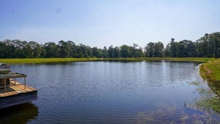 52.5 Acres of Recreational Land for Sale in Jones County MS - image 9