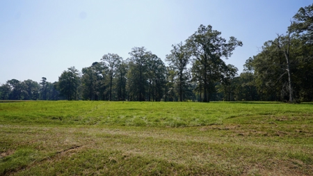 52.5 Acres of Recreational Land for Sale in Jones County MS - image 21