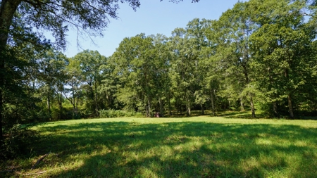 52.5 Acres of Recreational Land for Sale in Jones County MS - image 39