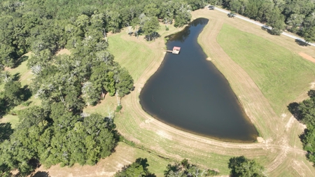 52.5 Acres of Recreational Land for Sale in Jones County MS - image 2