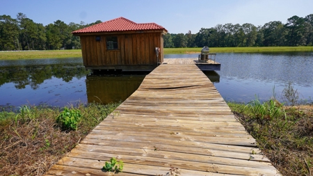 52.5 Acres of Recreational Land for Sale in Jones County MS - image 8