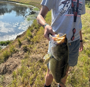 52.5 Acres of Recreational Land for Sale in Jones County MS - image 41