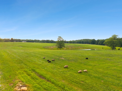 Horse Farm with Custom Home for Sale in Crossville, TN - image 48