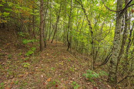 The View Clinch Mountain Mooresburg Tennessee 6.73 Acres - image 29