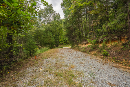 The View Clinch Mountain Mooresburg Tennessee 6.73 Acres - image 14