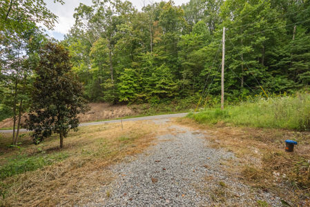 The View Clinch Mountain Mooresburg Tennessee 6.73 Acres - image 15