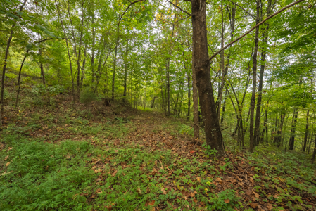 The View Clinch Mountain Mooresburg Tennessee 6.73 Acres - image 24