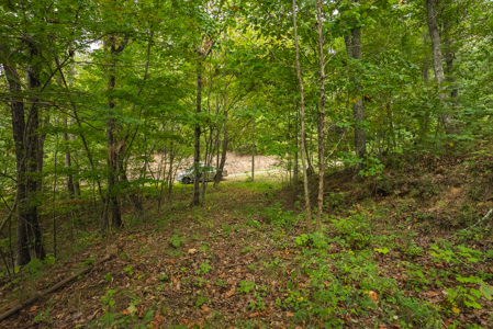 The View Clinch Mountain Mooresburg Tennessee 6.73 Acres - image 32