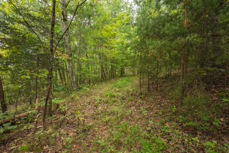 The View Clinch Mountain Mooresburg Tennessee 6.73 Acres - image 31