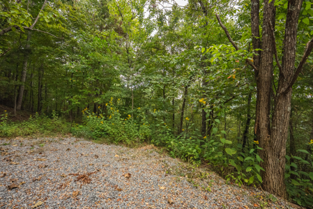 The View Clinch Mountain Mooresburg Tennessee 6.73 Acres - image 13