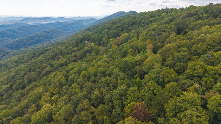 The View Clinch Mountain Mooresburg Tennessee 6.73 Acres - image 8