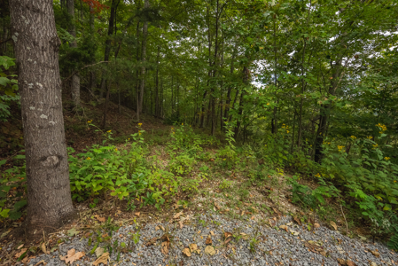 The View Clinch Mountain Mooresburg Tennessee 6.73 Acres - image 12