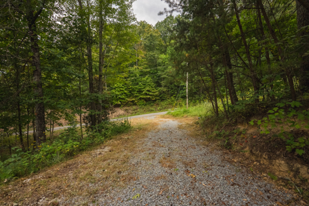 The View Clinch Mountain Mooresburg Tennessee 6.73 Acres - image 23