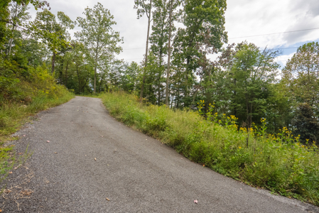 The View Clinch Mountain Mooresburg Tennessee 6.73 Acres - image 20
