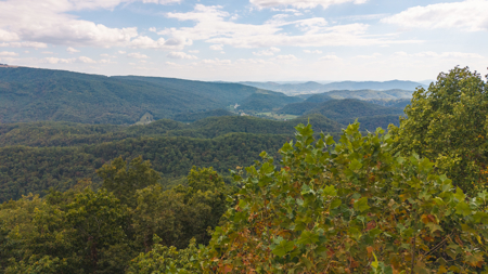 The View Clinch Mountain Mooresburg Tennessee 6.73 Acres - image 5
