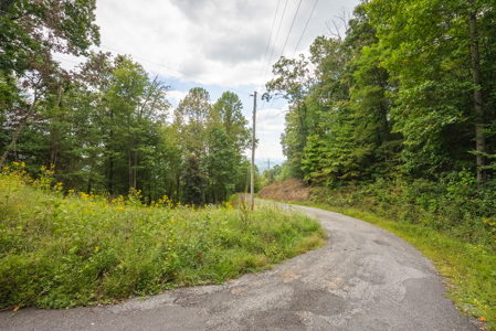 The View Clinch Mountain Mooresburg Tennessee 6.73 Acres - image 21
