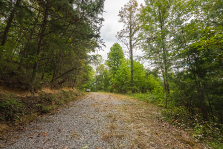 The View Clinch Mountain Mooresburg Tennessee 6.73 Acres - image 22