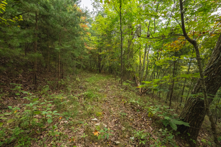 The View Clinch Mountain Mooresburg Tennessee 6.73 Acres - image 27