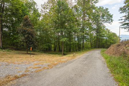 The View Clinch Mountain Mooresburg Tennessee 6.73 Acres - image 18