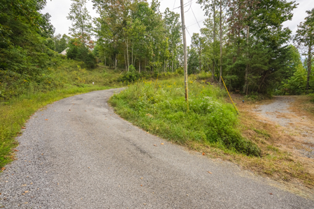 The View Clinch Mountain Mooresburg Tennessee 6.73 Acres - image 19