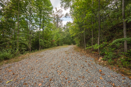 The View Clinch Mountain Mooresburg Tennessee 6.73 Acres - image 11