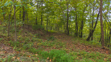 The View Clinch Mountain Mooresburg Tennessee 6.73 Acres - image 4